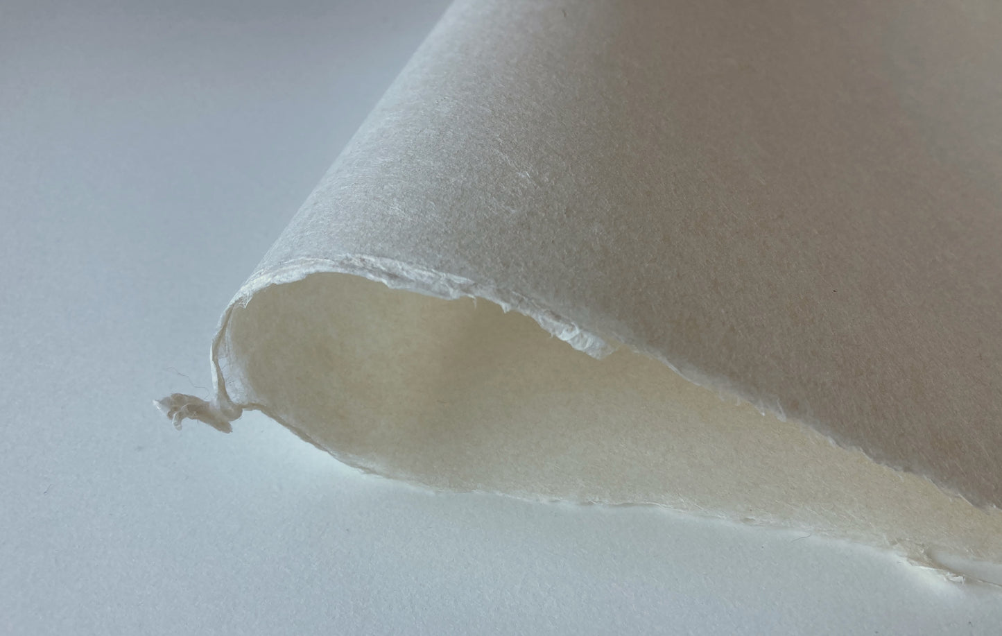 Printmaking No. 8 Thai Kozo - Ogawa - 86 x 63 cm