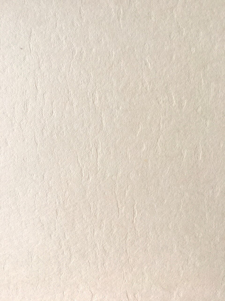 Igarashi Mitsumata/Pulp 100 x 200 cm