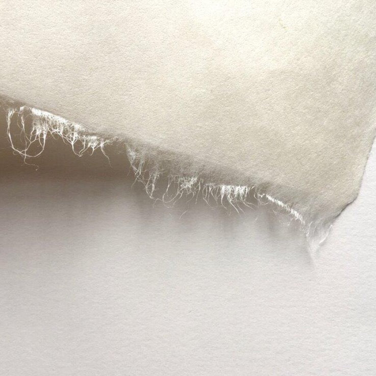 Sekishu White - Awagami - 99 x 61 cm