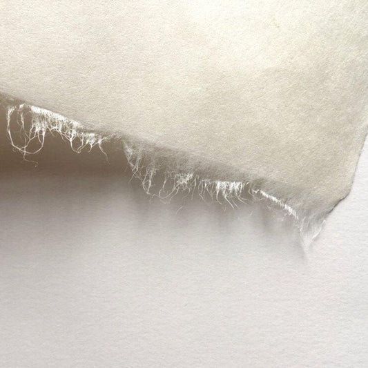 Sekishu White - Awagami - 99 x 61 cm