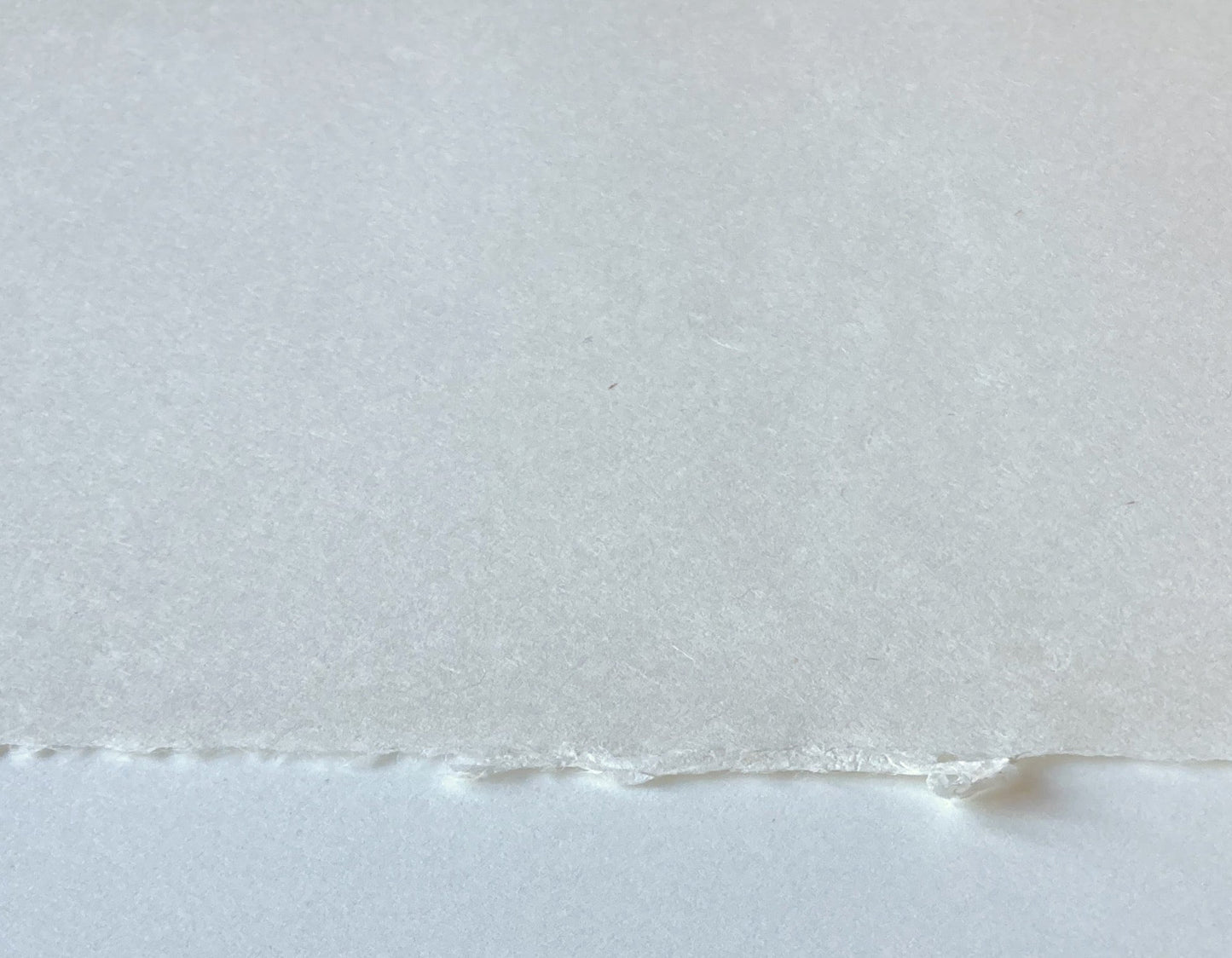 Printmaking No. 8 Thai Kozo - Ogawa - 86 x 63 cm