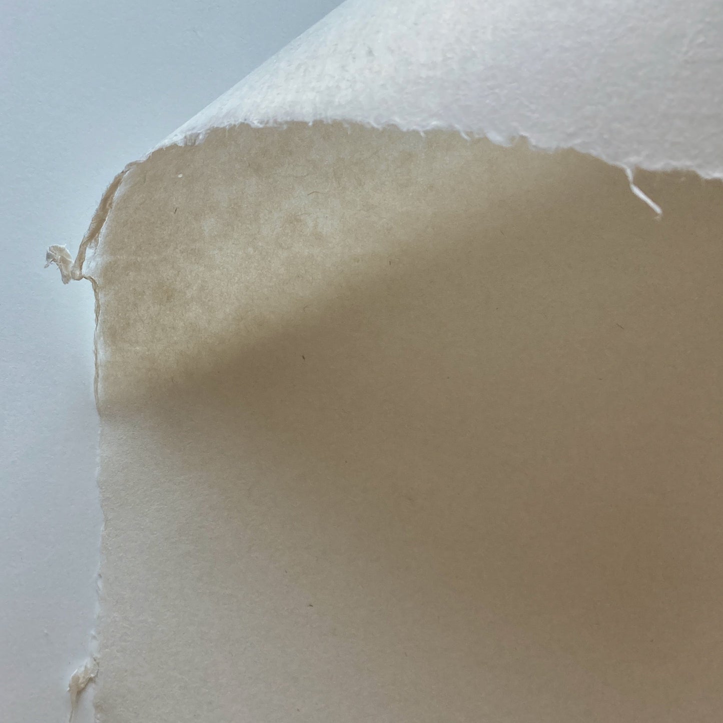 Printmaking No. 8 Thai Kozo - Ogawa - 86 x 63 cm